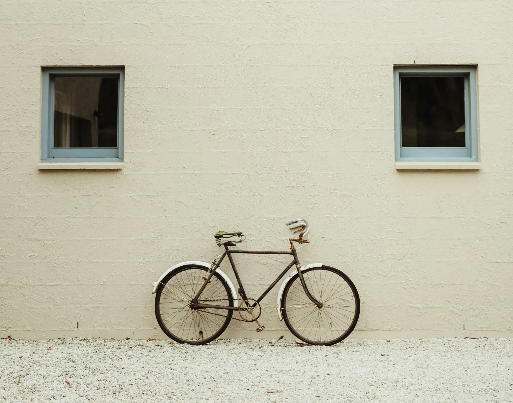 Cycle Cities: Pedaling Through Urban Streets Post image