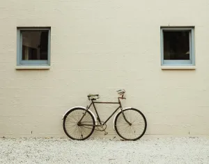 Cycle Cities: Pedaling Through Urban Streets Post feature image